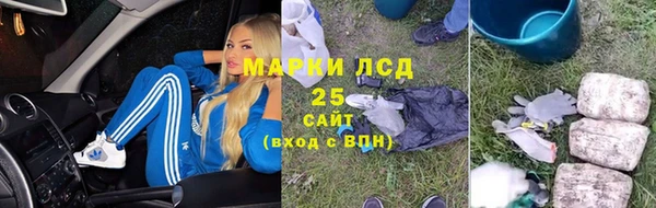 хмурый Алзамай